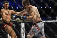 Муслим Салихов брутально нокаутировал Нордина Талеба на UFC 242