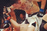 Видео боя Жозе Альдо - Макс Холлоуэй UFC 212