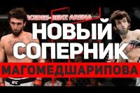 Забит Магомедшарипов получил нового соперника на турнире UFC 228 в Далласе