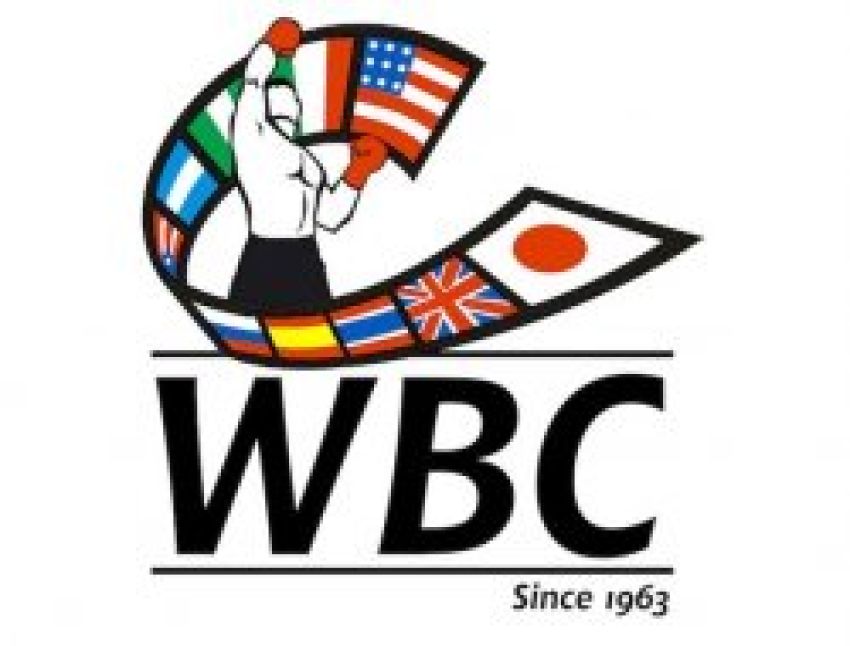 Обновился рейтинг WBC: Ковалёв, Хитров и Постол обосновались на второй позиции 