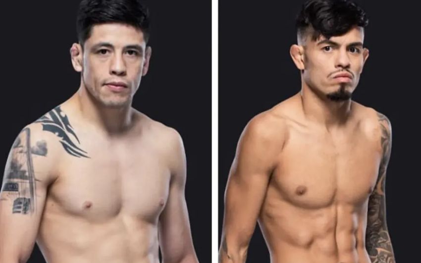 Где смотреть UFC Fight Night 237: Брэндон Морено – Брэндон Ройвал 2