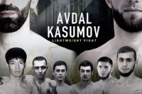 Прямая трансляция Berkut Young Eagles 13: Роман Авдал – Заур Касумов