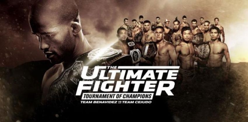 Рейтинг турнира The Ultimate Fighter: Tournament of Champions Finale 