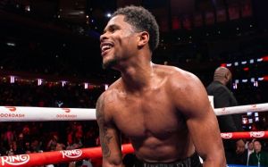 WBO назначила Стивенсону бой против Муратальи