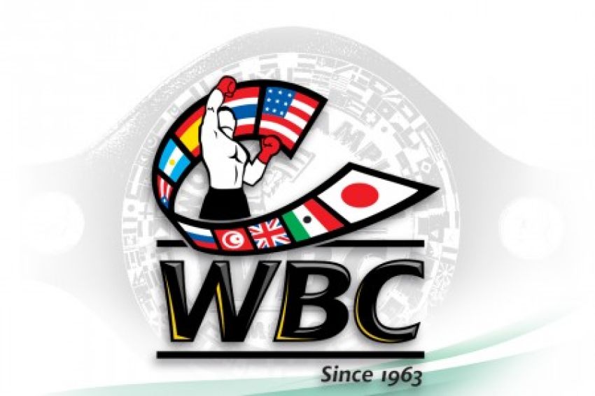 WBC: Исследование пробы Поветкина продолжается, решение будет позже