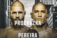 Файткард турнира UFC 295