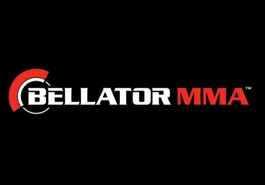 Рейтинги турниров Bellator 166 и Bellator 167 