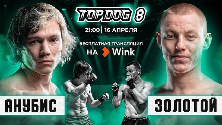 Top Dog FC 8. Смотреть онлайн прямой эфир