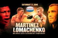 Vasyl Lomachenko vs Roman Martinez Highlights