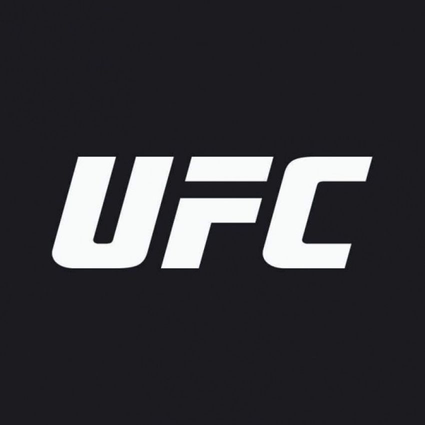 Рейтинг бойцов UFC за май 2019 года 