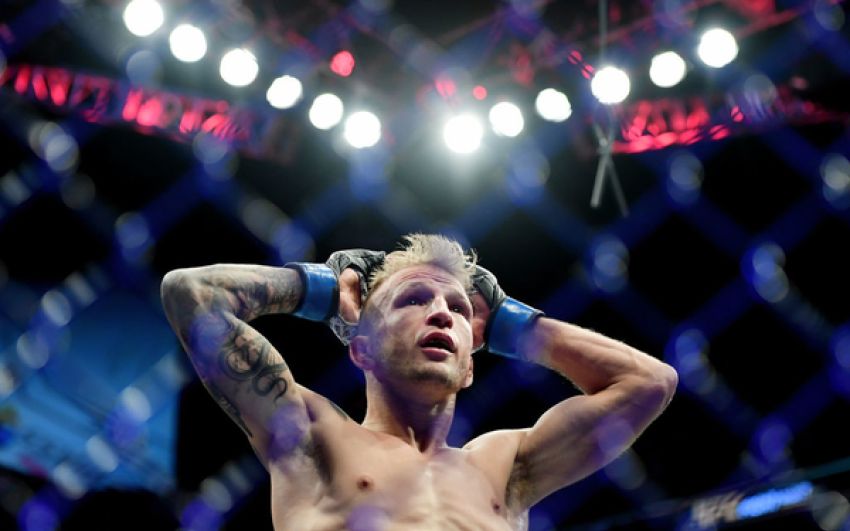 UFC пытается успокоить общественность после допингового дела Ти Джея Диллашоу