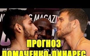 Прогноз на бой Василий Ломаченко - Хорхе Линарес 