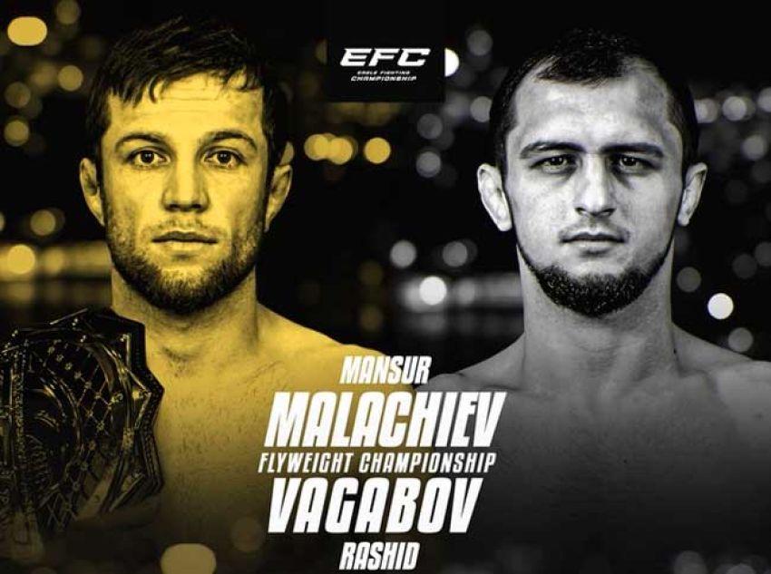 Видео боя Рашид Вагабов - Мансур Малачиев EFC 38