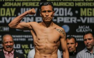 Чемпион WBC Франсиско Варгас уличён в применении запрещённого препарата 