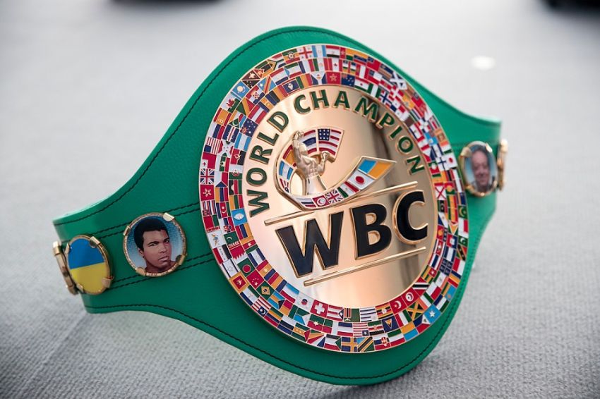 WBC named "Fighter of the Year 2020" - two boxers.