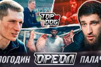 Top Dog FC 20. Смотреть онлайн прямой эфир