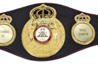 Дортикос выставит титул регулярного чемпиона WBA на бой с Кудряшовым