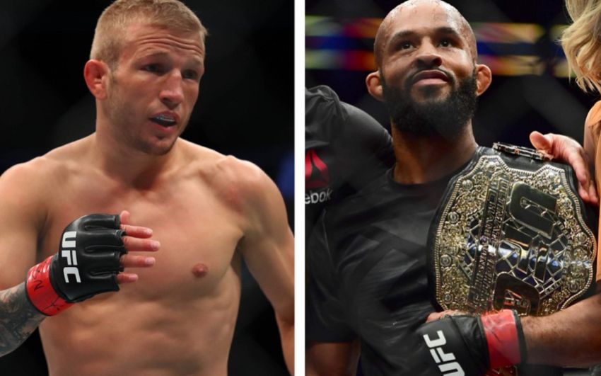 Бой Джонсон-Диллашоу может состояться на UFC 226