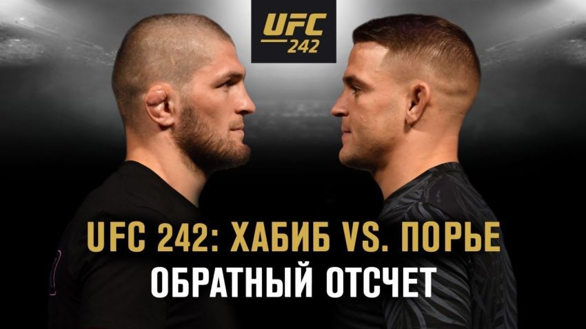 UFC 242: Обратный отсчет