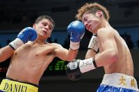WBA планирует организовать бой между Дэниелом Романом и Муроджоном Ахмадалиевым