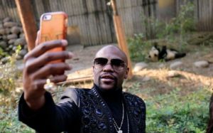 В ходе турне по Китаю Флойд Мейвезер усыновил панду и назвал ее "TMT Floyd Mayweather"