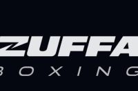 Zuffa Boxing: Почему у компании не получается захватить рынок?