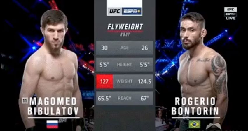 Видео боя Магомед Бибулатов - Роджерио Бонторин, UFC Fight Night 144