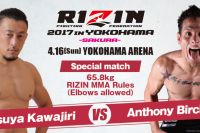 Прямая трансляция Rizin FF 2017 in Yokohama