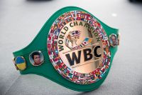 WBC назвал «Бойца года-2020» – их сразу два