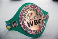 WBC может создать новую весовую категорию