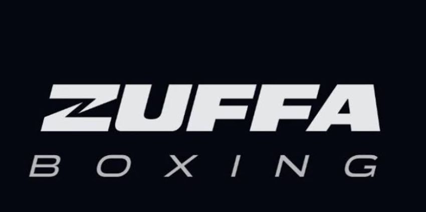 Zuffa Boxing: Почему у компании не получается захватить рынок?