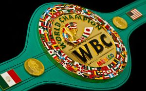 WBC запретил чемпионам и бойцам из топ-15 участвовать в Олимпиаде