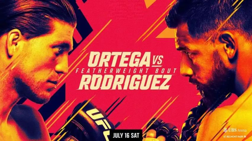 Файткард турнира UFC on ABC 3