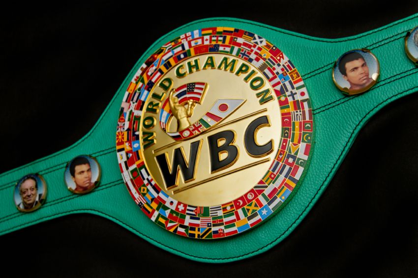 WBC огласили список номинантов на звание лучшего боксёра года