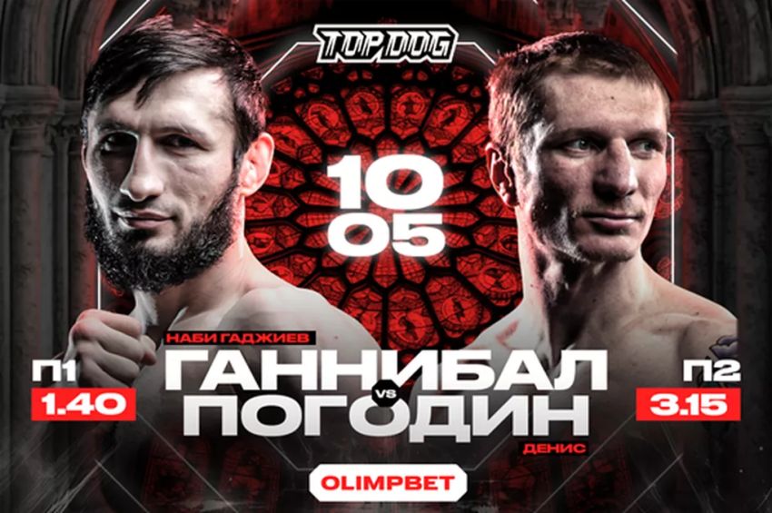 Прямая трансляция Top Dog 36