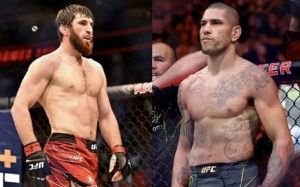 Даниэль Кормье считает Магомеда Анкалаева единственным бойцом, который может победить Алекса Перейру