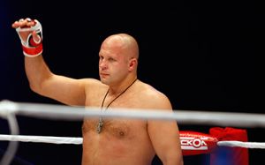 Чеченский боец принял вызов вступившегося за Емельяненко украинца