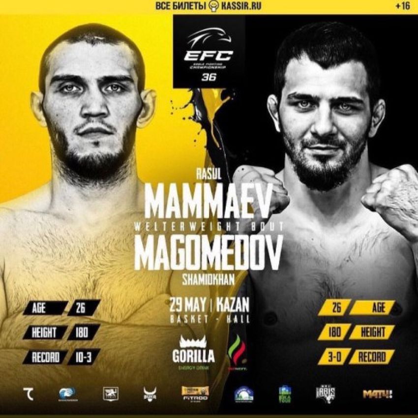 Видео боя Расул Маммаев – Шамидхан Магомедов EFC 36