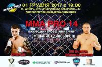 Прямая трансляция MMA Pro Ukraine 14