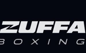 Zuffa Boxing: Почему у компании не получается захватить рынок?