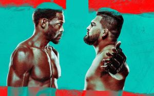Файткард турнира UFC on ESPN 29