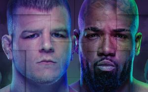 Файткард турнира UFC Fight Night 229
