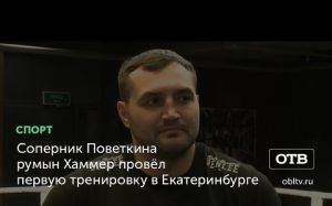 Кристиан Хаммер: К бою с Поветкиным я готовился 8 недель. Александр очень сильный противник