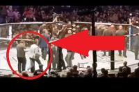 Фанат помогал разнимать бойцов во время драки на UFC 229: Нурмагомедов - Макгрегор