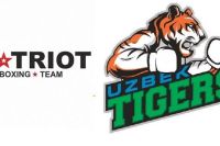 Прямая трансляция WSB: Patriot Boxing Team - Uzbek Tigers