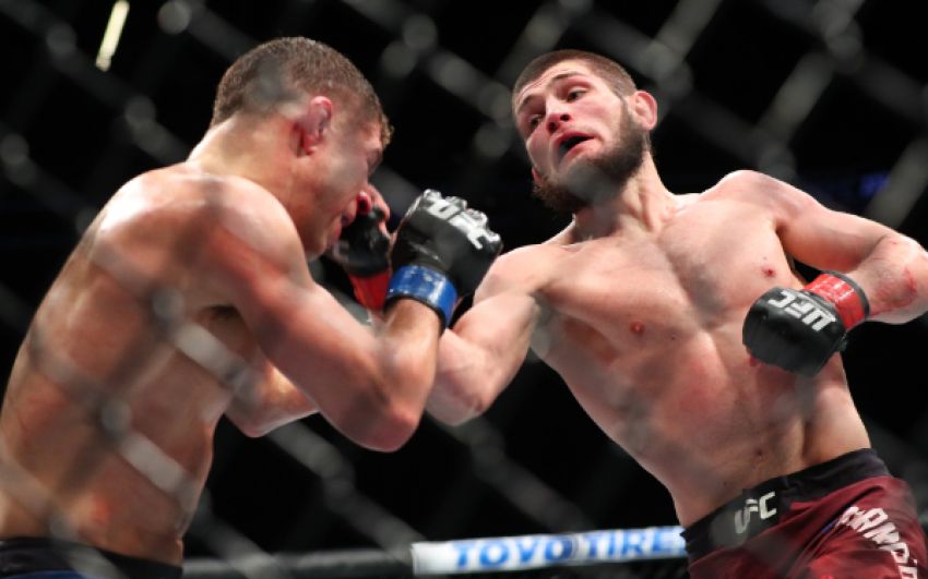 Хабиб Нурмагомедов: "UFC работает над моим боем с Конором МакГрегором"