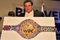 WBC выбрал дизайн специального пояса для боя Головкина и "Канело"