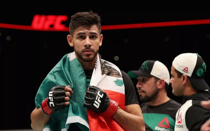 Слух: Бой Забита Магомедшарипова и Яира Родригеса добавлен в кард UFC 227