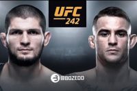 Стала известна цена билетов на турнир UFC 242 в Абу-Даби