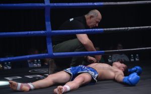 Видео боя Fair Fight V: Игорь Шардаков - Владислав Кокшаров